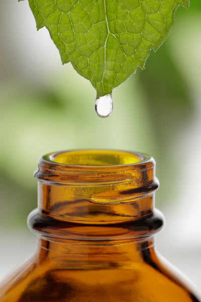We use only the Best High quality ingredients<br />and essential oils